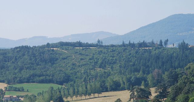 La forêt du Grandbeau (Saint-Alban-dAy,Ardèche)