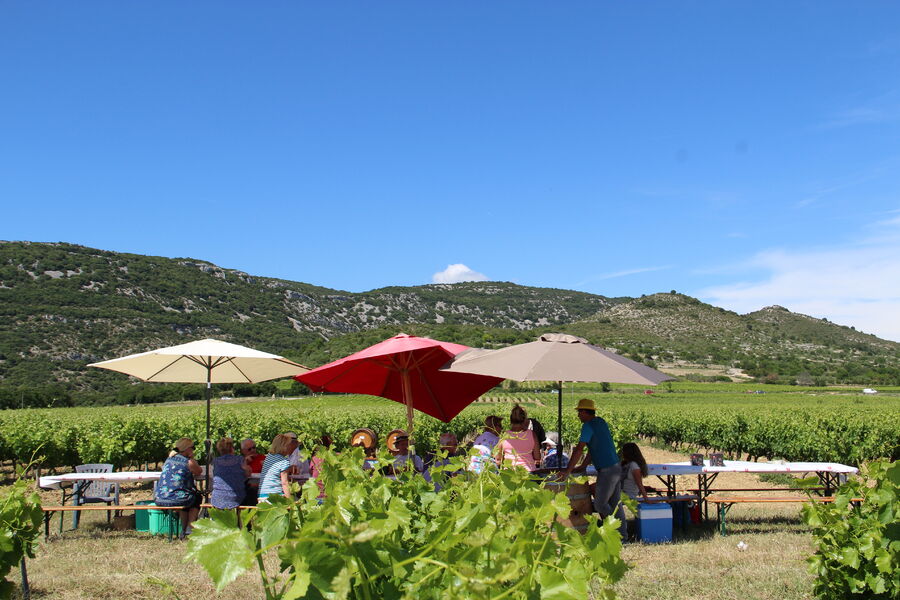 Pique-nique chez le vigneron indépendant : Clos de l'Abbé Dubois - Saint-Remèze