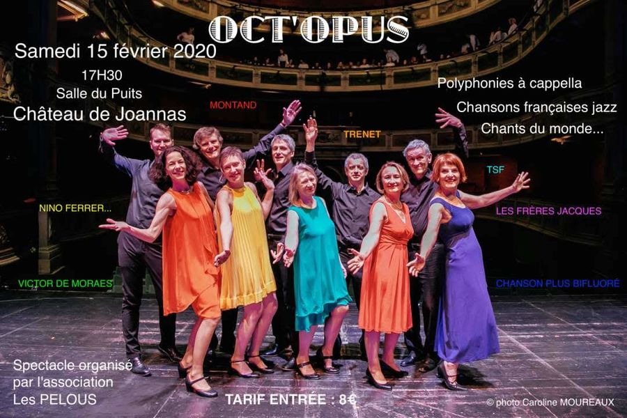 Le groupe vocal Octo'pus au château de Joannas - Joannas