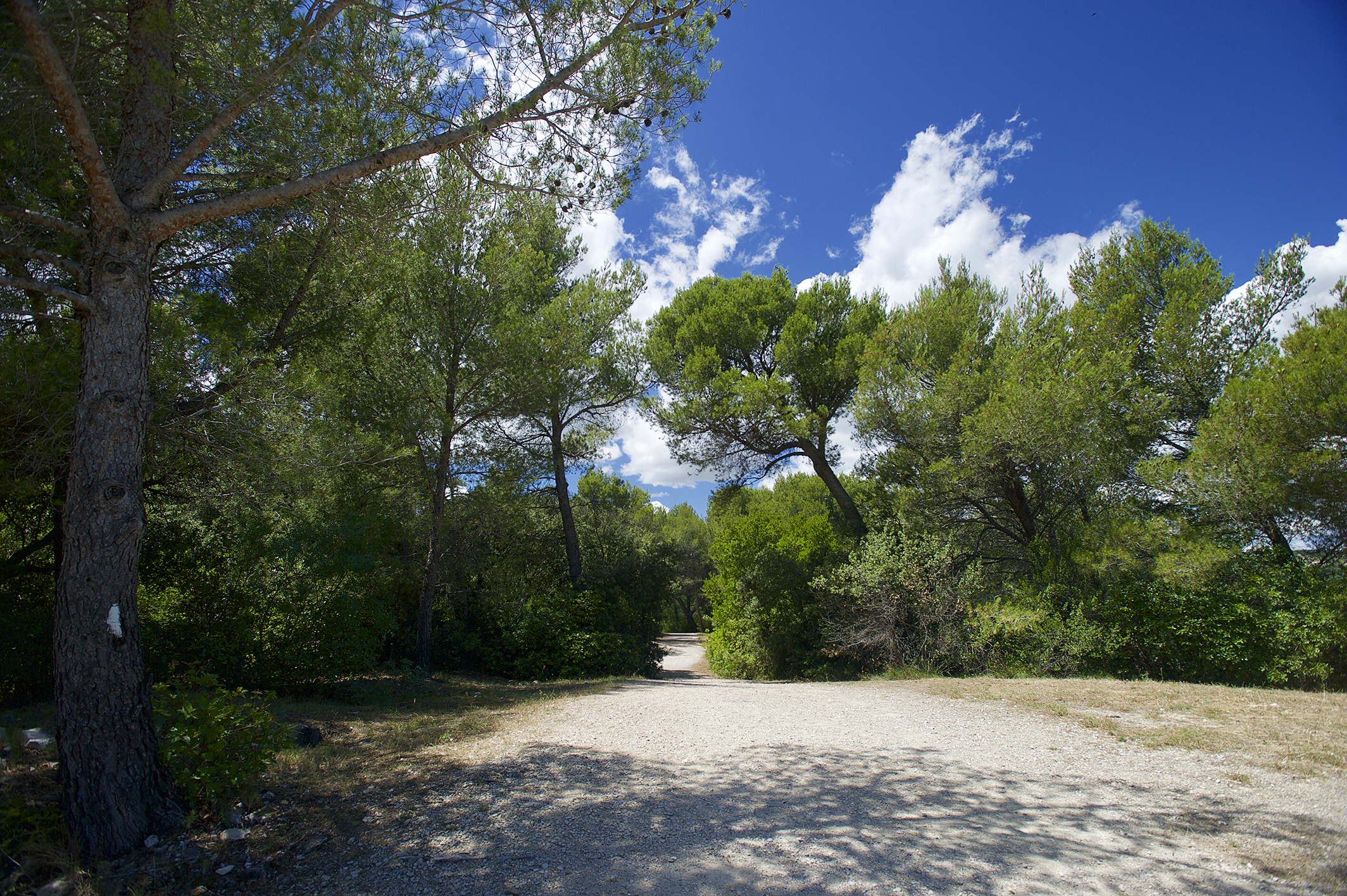 la colline des mourgues avignon tourisme avignon tourisme