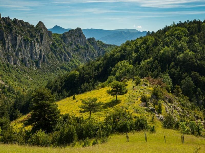 Point de vue verdoyant du Serrois - © Communauté de communes du Sisteronais Buëch