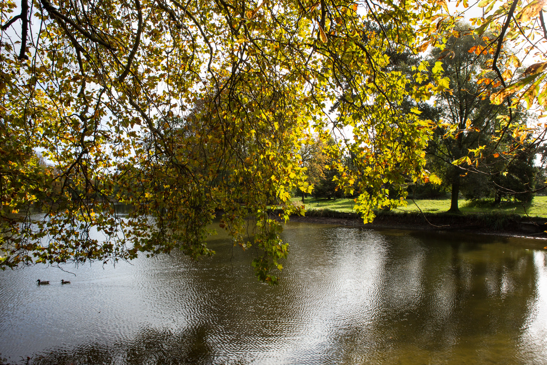 Lac De Gravelle Destination Vincennes