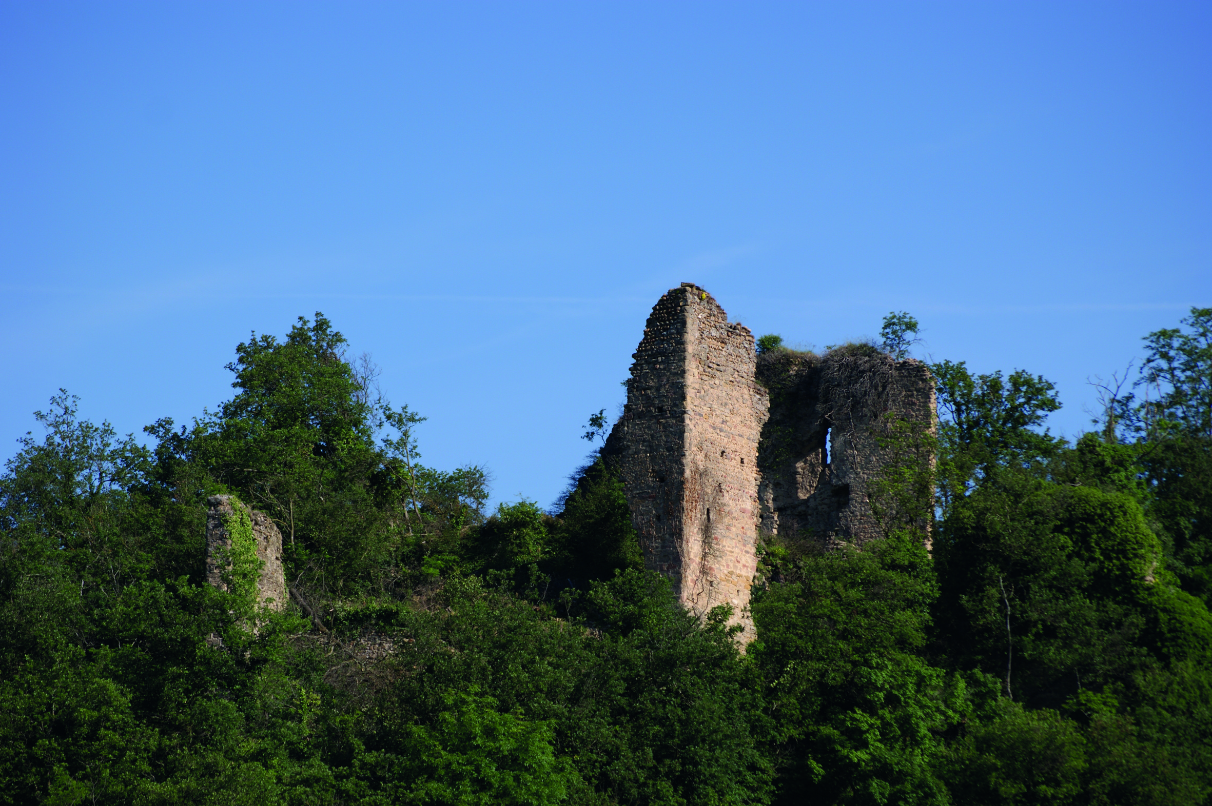 Ruines Château de Mantaille