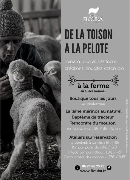 De la toison à la pelote De la toison à la pelote