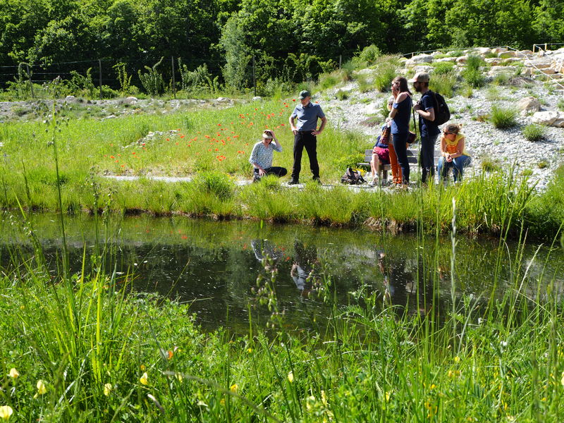 Explications en cours en bordure de zone humide - © Sophie Vialatte-Bissuel - CBNA visite Elsa en cours - © Sophie Vialatte-Bissuel - CBNA