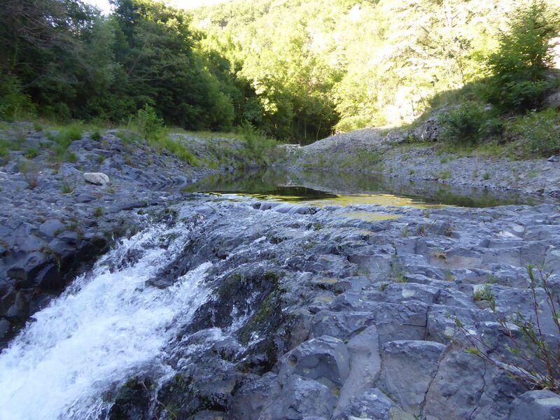 Rando volcanique : La coulée basaltique de la vallée de la Bourges avec Ardèche Randonnées - Burzet