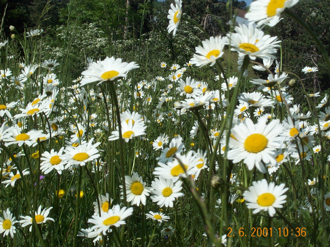 Fiches Th Matiques D Voluy Provence Alpes C Te D Azur Tourisme