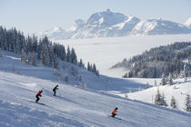 Ecole du Ski Français Stages