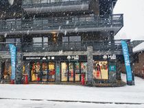 Image The-Hub-Hiver