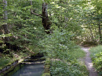 Canal des Herbeys - © Canal des Herbeys Canal des Herbeys - © François Boussiquet