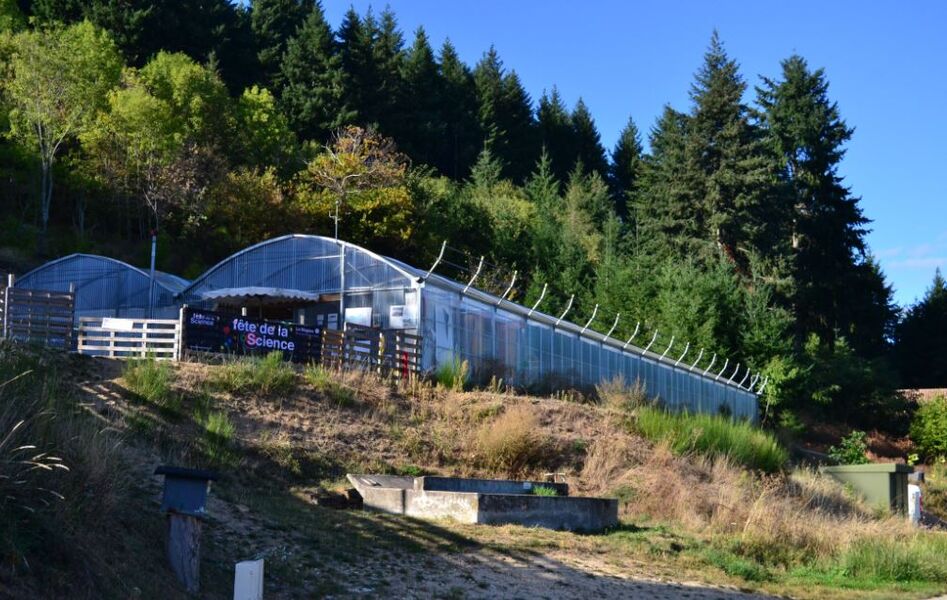 Conférence en ligne : Spiruline des monts d'Ardèche - Saint-Jeure-d'Andaure
