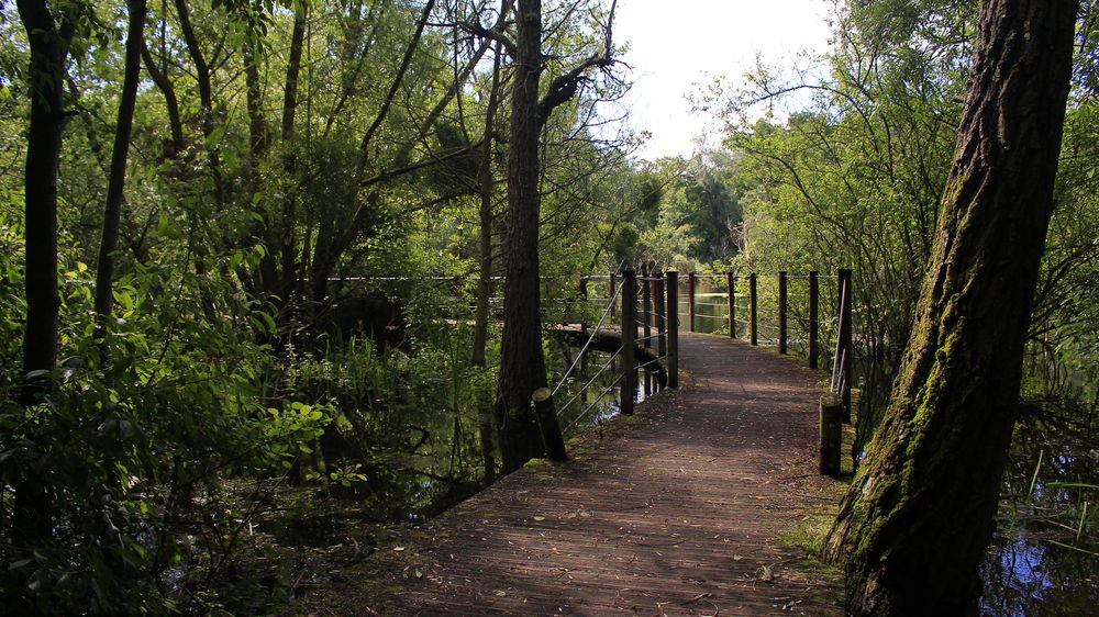 Sentier randonnée Parc du Pâtis