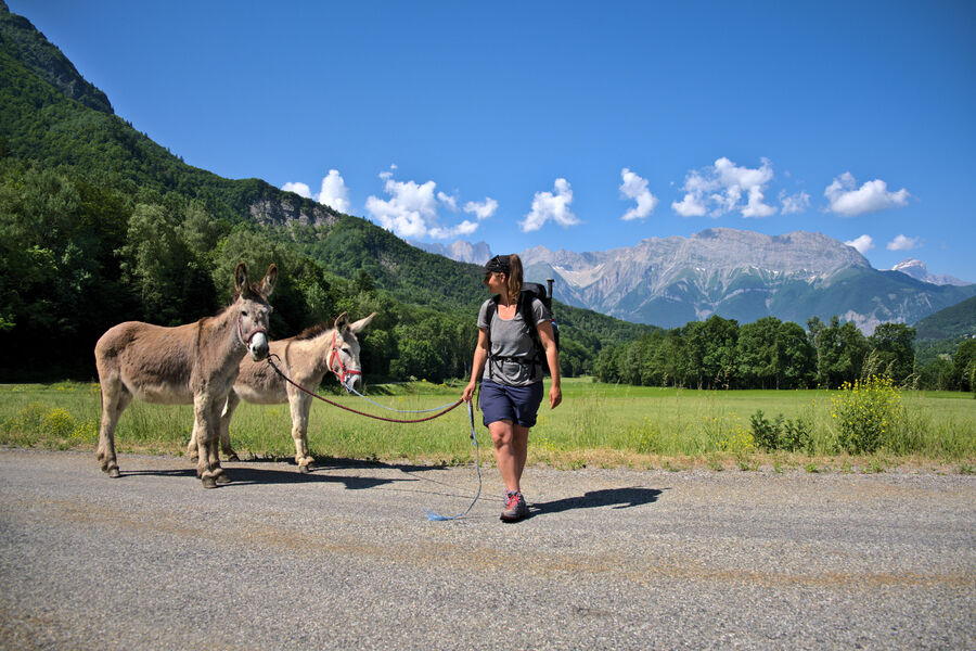 Randonnée avec les ânes, Valgodane - © A. Dumoulin Randonnée avec les ânes, Valgodane - © A. Dumoulin
