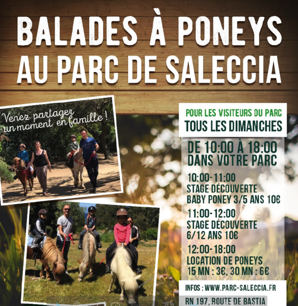Parc de Saleccia Balades à Poneys