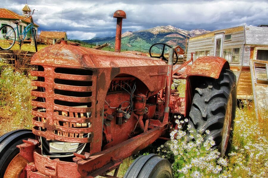 Fête de l'agriculture - Champis