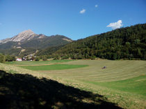 Balade 'L'agriculture du Champsaur', St Léger-les-Mélèzes - © Balade 'L'agriculture du Champsaur', St Léger-les-Mélèzes L'agriculture du Champsaur - © Sara Nunes Veloso