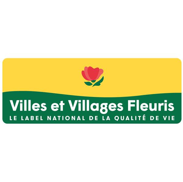 @AVVF @AVVF