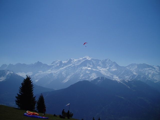 vol Varan-crédit M. NIZZIA-web