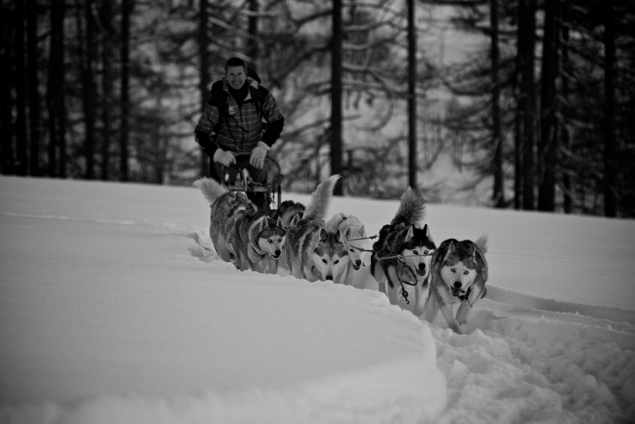 Evasion Nordique - Dog sledding