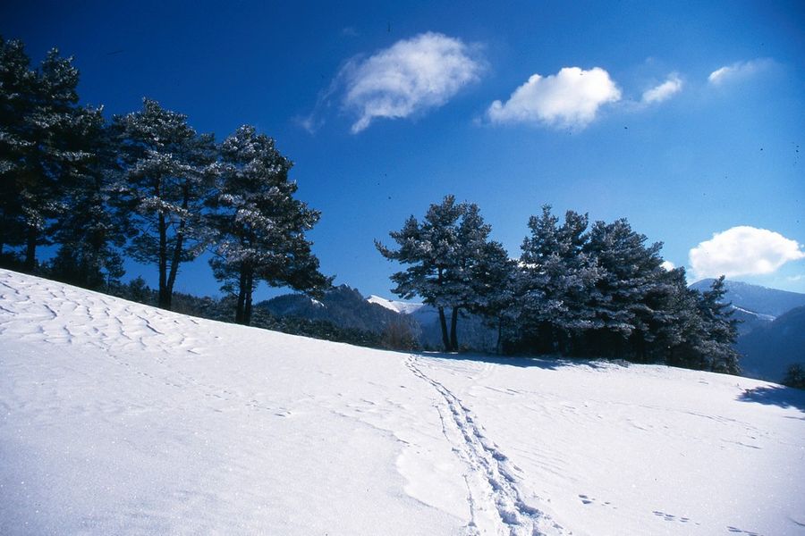 Raquettes à Chichilianne