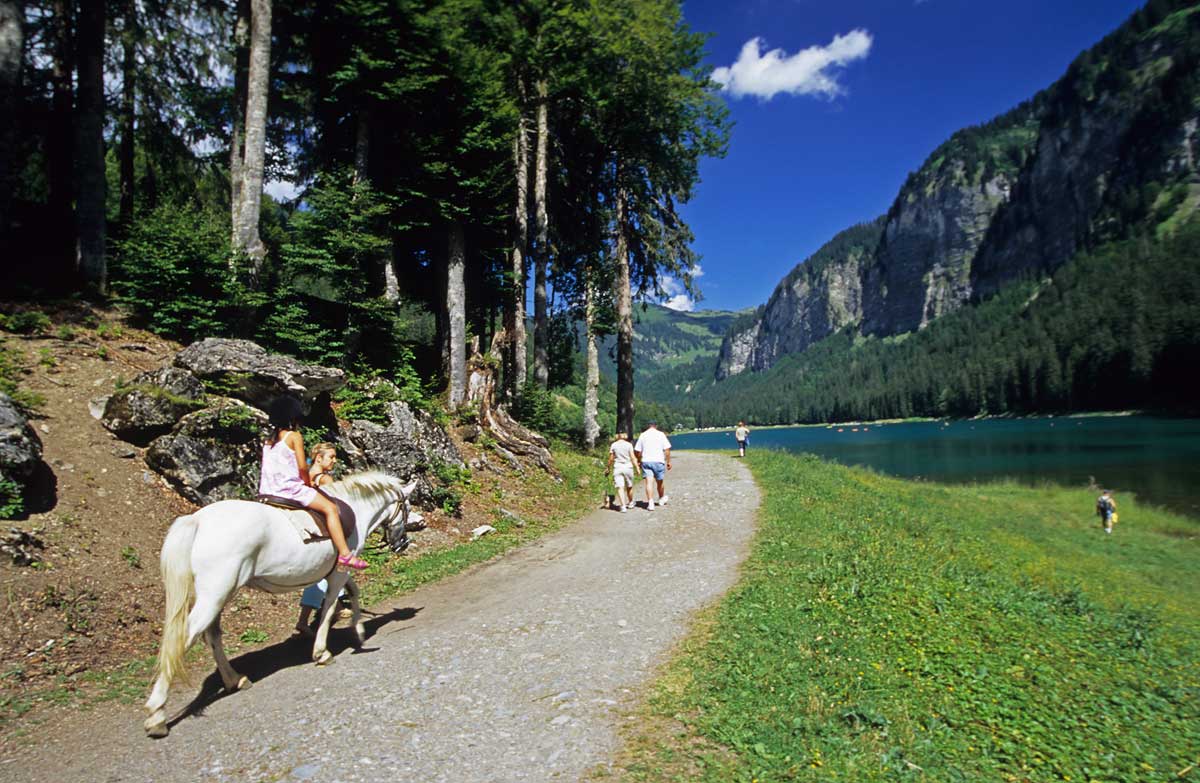 sitraACT846580_260222_poney-lac
