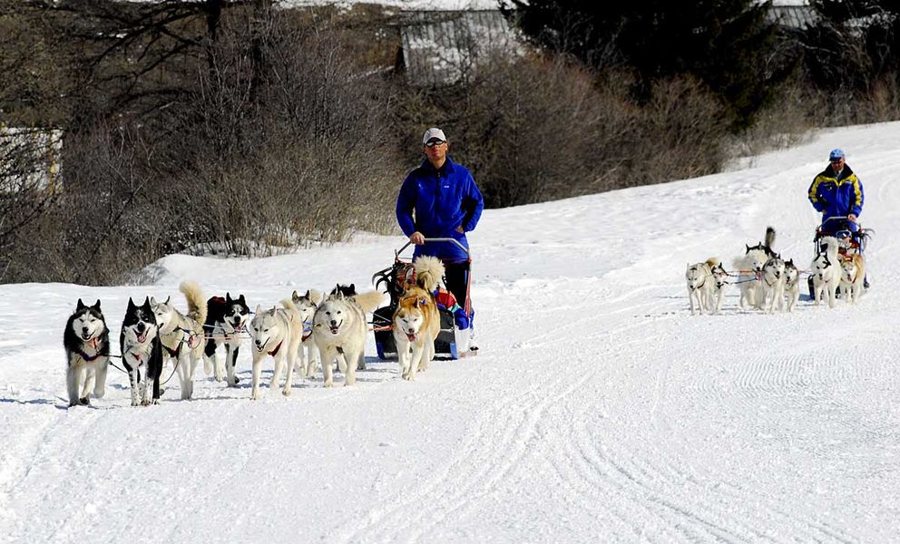 Husky Adventure Caron Christophe - Ecole de traineau à chiens à Aussois