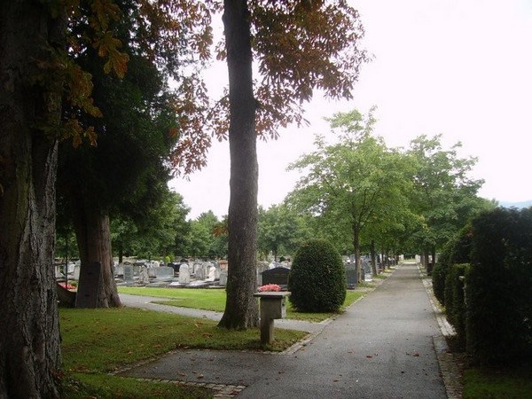 Vue du cimetière de Veyrier depuis l'entrée