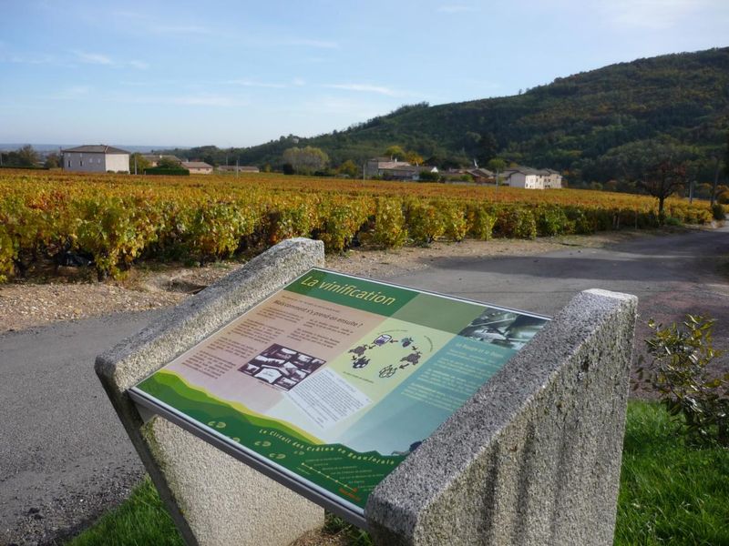 Parcours de Découverte