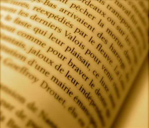 Bibliothèque Viriville Thodure Marnans