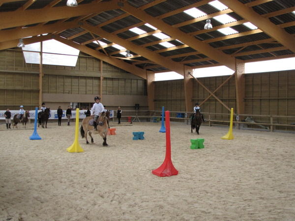 Poney Club de Sardieu