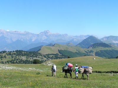 Tour du Haut Diois en liberté avec des ânes