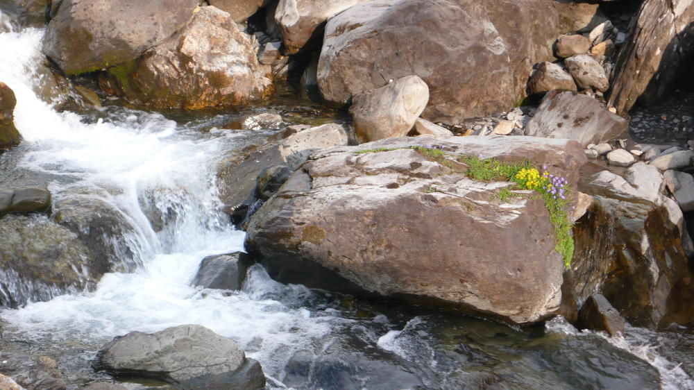 Torrent du Reclus