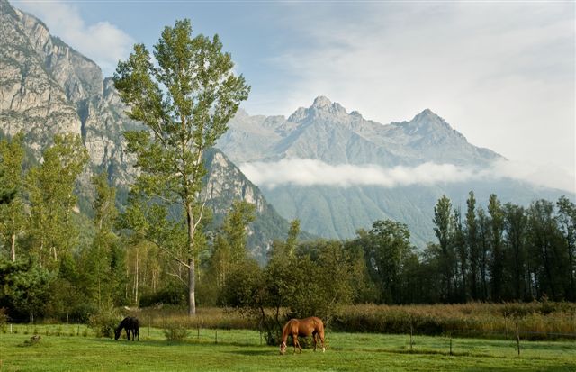Randonnée équestre en Oisans