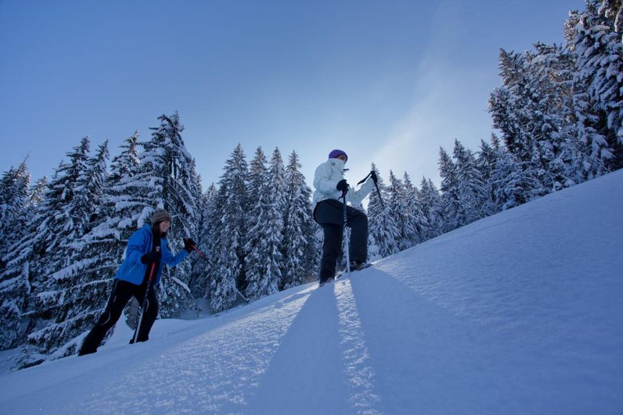 Sortie raquette Mont du villard