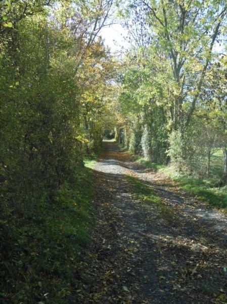 le chemin de la Méharie