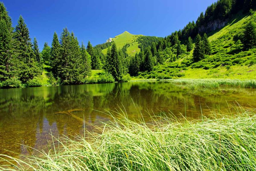 Lac de Damoz des Moulins