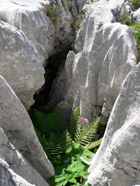 Site du Fierloz à Artemare en Valromey