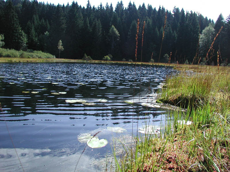 Réserve Naturelle du Luitel