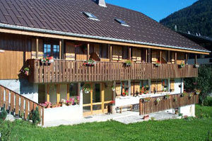 Apartment in chalet Les Boutons d Or n°3 - 40m² - 1 bedroom - Benand Marie-Josèphe