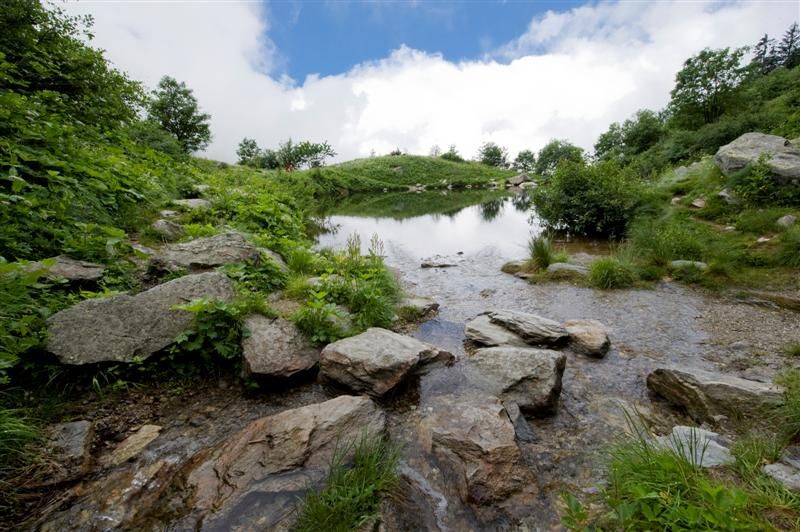 Gilles Lansard - armancette041 (Medium)