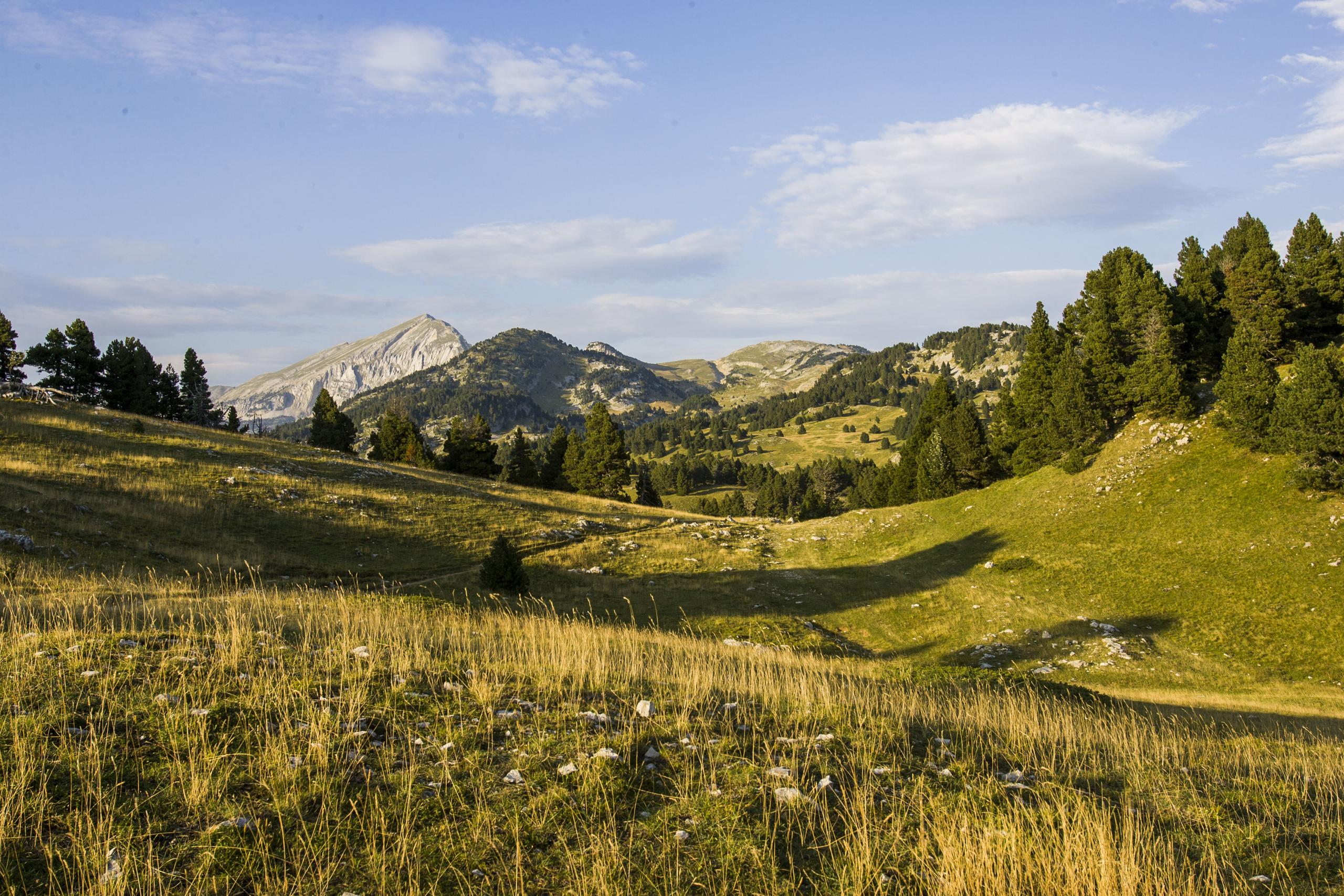 La Réserve naturelle des Hauts Plateaux
