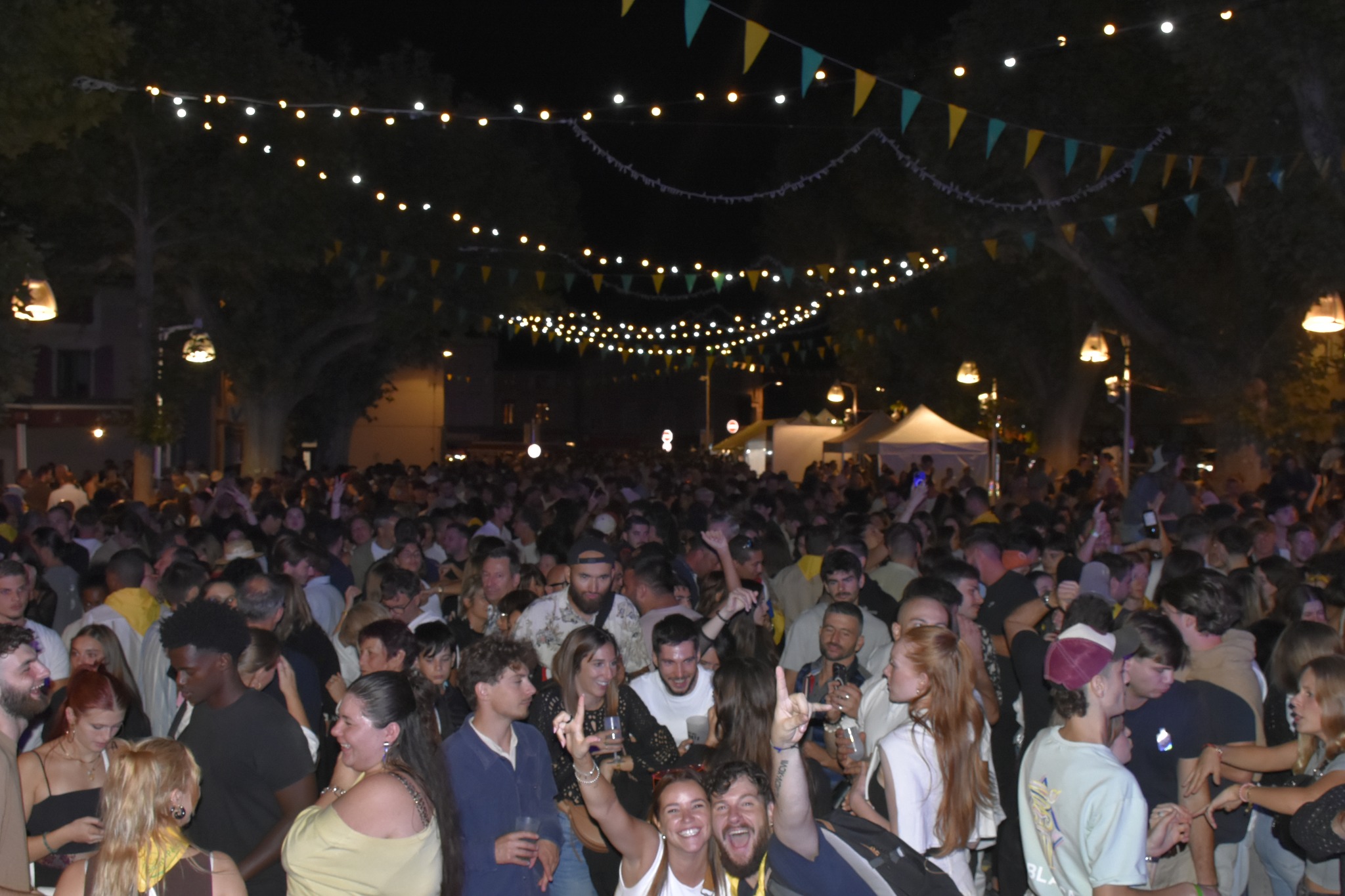 Fête des Vins et du Jumelage