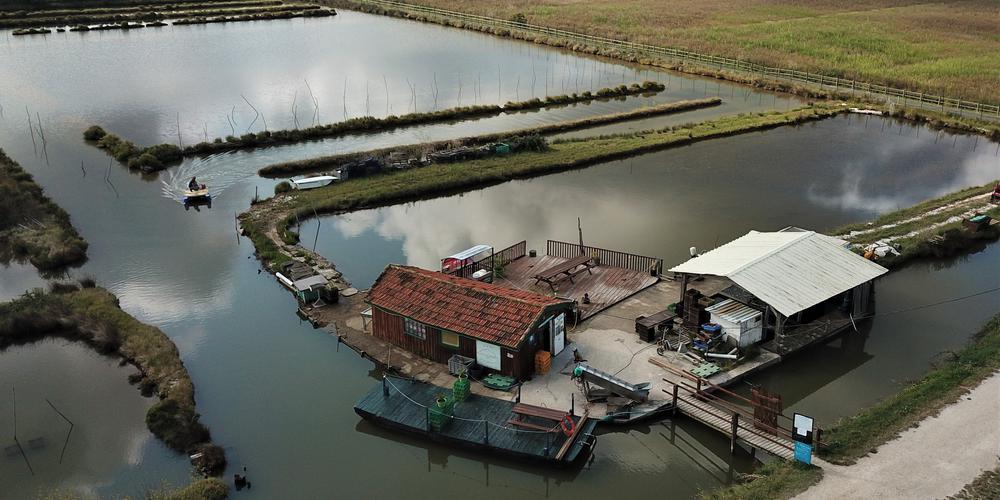 Ferme Aquacole Fauchier