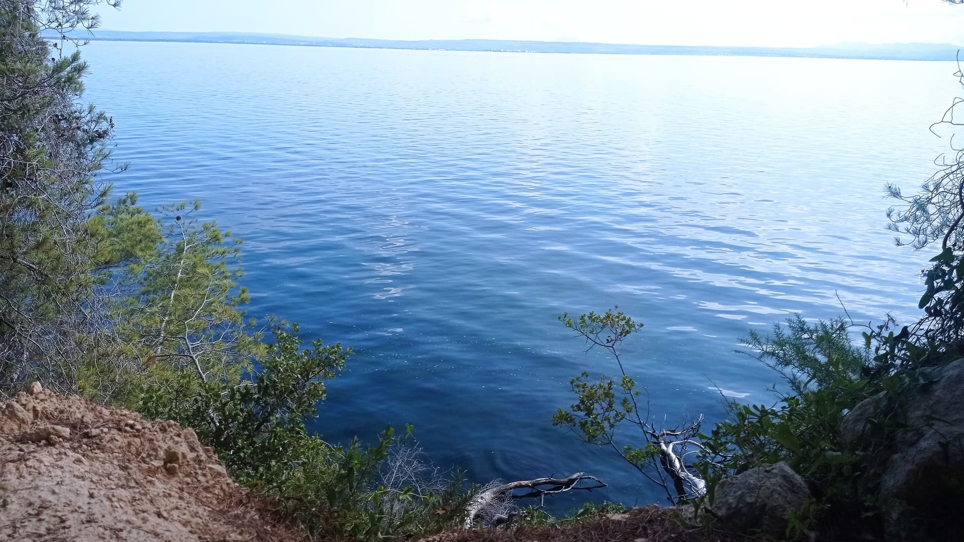 Les parcours du Grand Parc de Figuerolles - photo 3