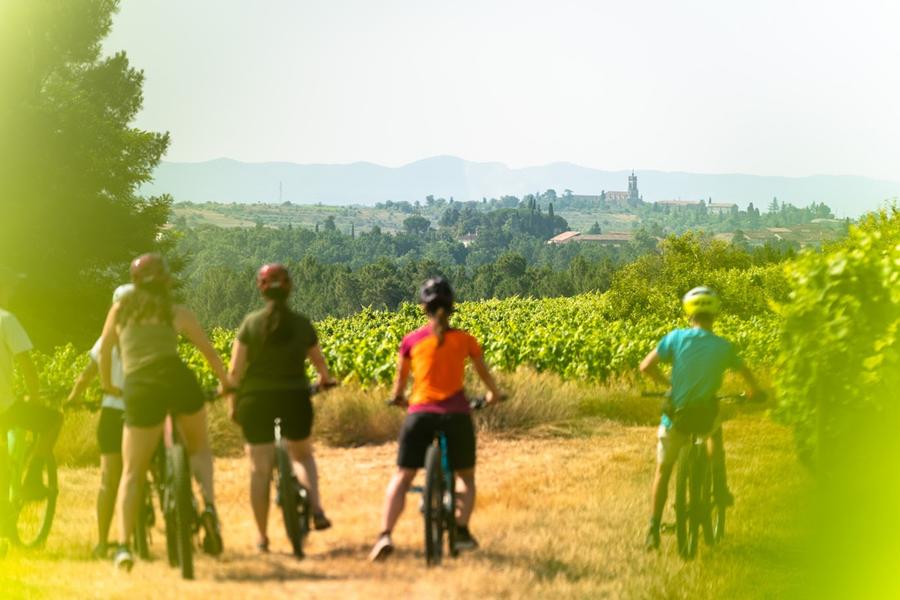 Merveilles 07 : La Vigne à Vélo - Balade accompagnée
