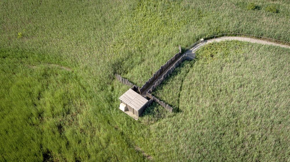 R09 - Etang salé de Courthézon_Courthézon