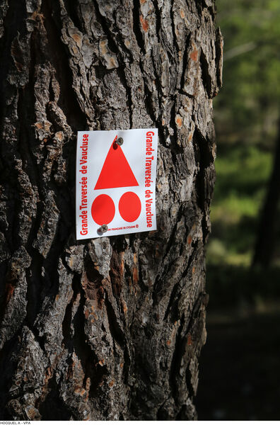 Balisage Grande traversée de Vaucluse