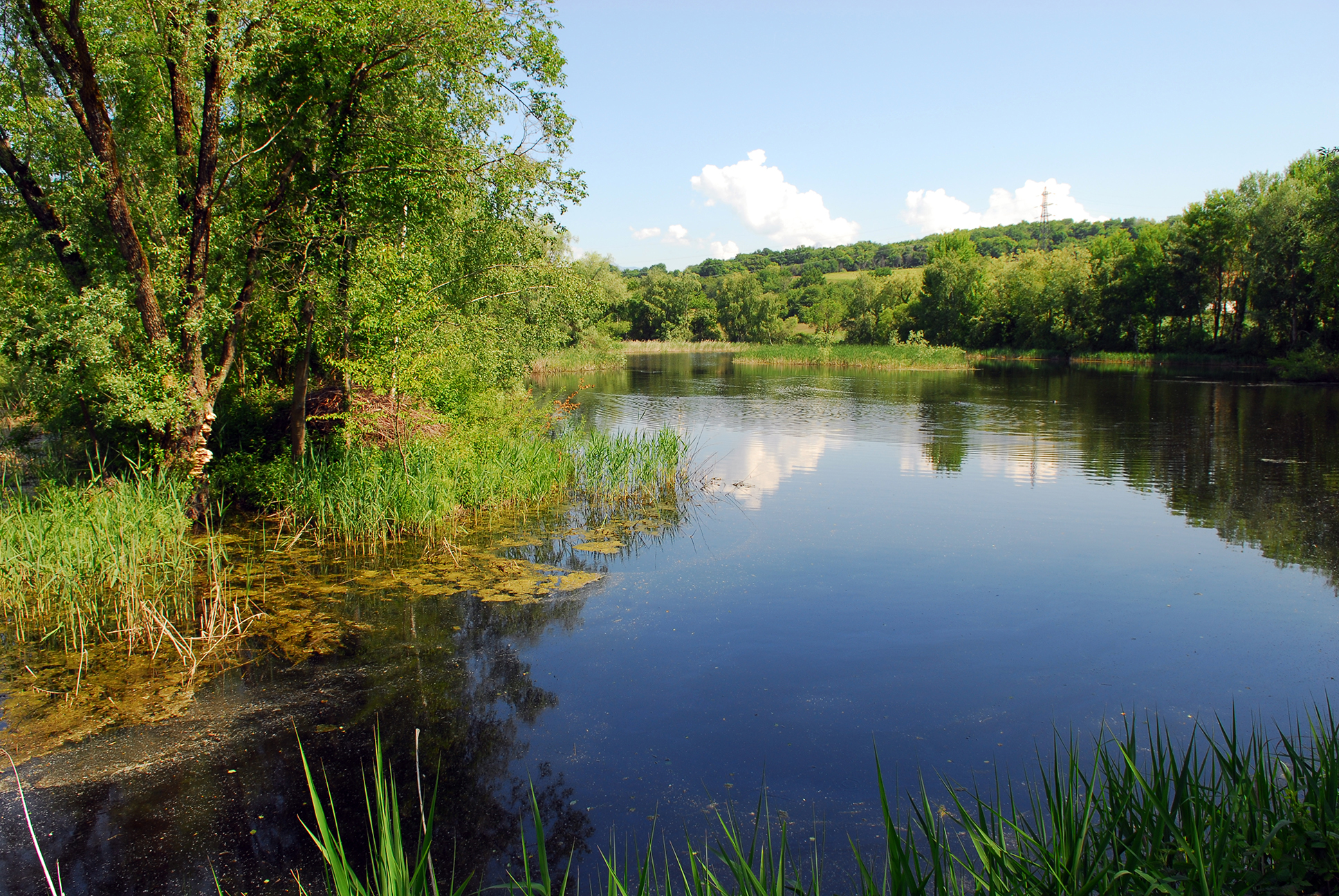 Hiking in the pond of Jarrie