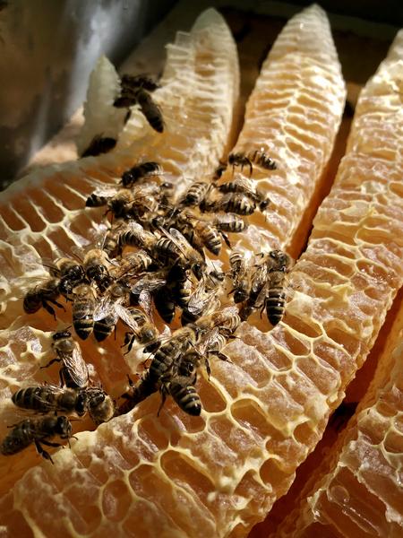 Miellerie des Balcons - Corbelin - Balcons du Dauphiné