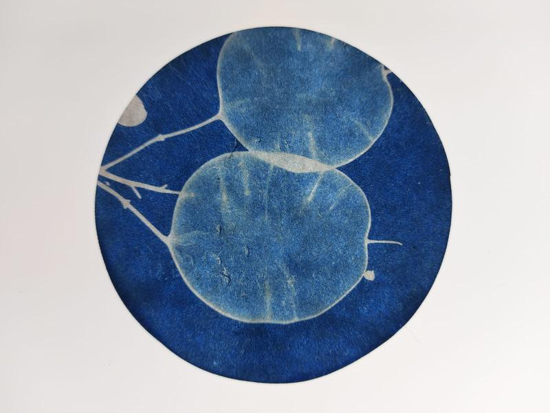 Exposition  'Art, science et végétal'_Ancelle - © @mairieancelle